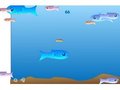 Les poissons d'aquarium pour jouer en ligne