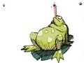 The Frog Princess pour jouer en ligne