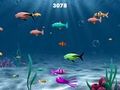 Franky The Fish pour jouer en ligne