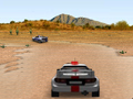 3D Rally pour jouer en ligne