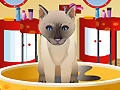 Petz Fashion pour jouer en ligne