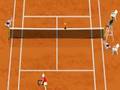 Tennis Grandslam pour jouer en ligne