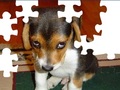 Puzzle chien mignon pour jouer en ligne