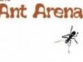 Arena fourmis pour jouer en ligne