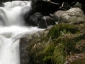 Forêt cascade pour jouer en ligne