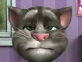 Talking Tom pour jouer en ligne