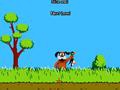 Duck Hunting pour jouer en ligne