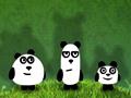 Panda Adventure pour jouer en ligne