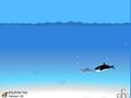 Dolphin Hunt pour jouer en ligne