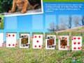 Animal Planet Solitaire pour jouer en ligne