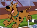 Scooby Doo - Steeple-chase pour jouer en ligne